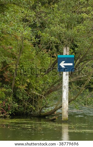 navigation arrow amongst overgrown river vegetation