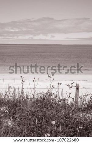 Whitemill Bay; Sanday; Orkney Island; Scotland