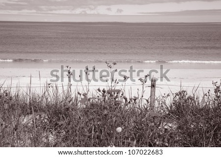 Whitemill Bay; Sanday; Orkney Island; Scotland
