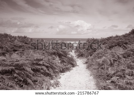 White Park Bay, County Antrim, Northern Ireland in Black and White Sepia Tone
