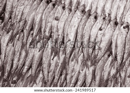 Fish Background - Central Market, Riga in Black and White Sepia Tone