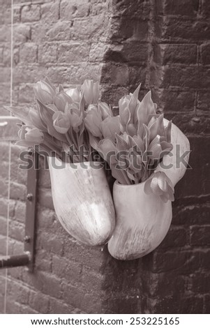Traditional Clogs and Tulips outside Restaurant in Amsterdam, Holland in Black and White Sepia Tone