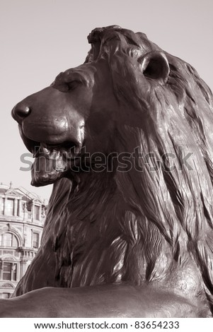 Lion part of Nelsons Column Monument in Trafalgar Square, London, England, UK