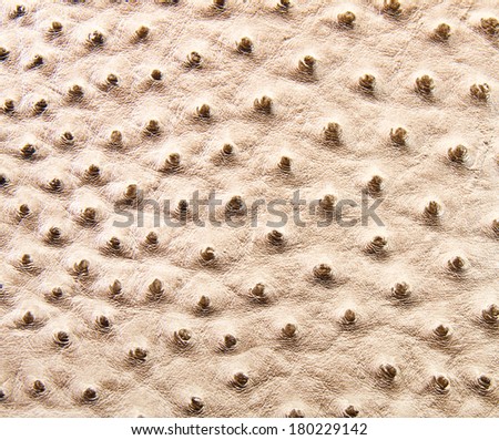 Ostrich leather patch in beige color