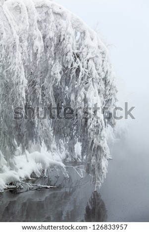 Tree branches bent under the weight of snow over the smooth surface of water. Winter season in Karelia, Russia