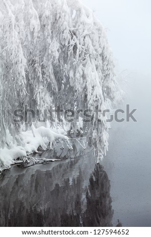 Tree branches bent under the weight of snow over the smooth surface of water. Winter in Karelia, Russia