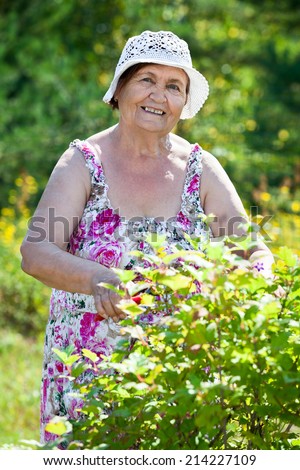 Portrait of pension age woman when gardening