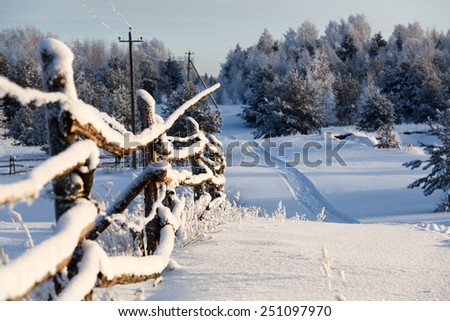 Wooden fence and snowy road into evergreen forest at winter season