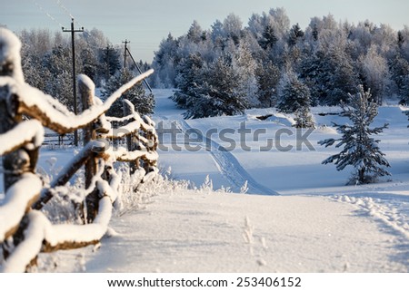 Wooden fence and snowy road into evergreen forest at winter time