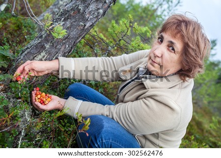 Caucasian mature woman gathering fresh cloudberries in forest swamp