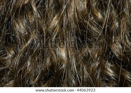 Image of brown hair texture. Curly hair for shampoo advertising.