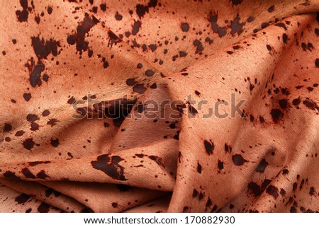 Skin of a cow on a white background