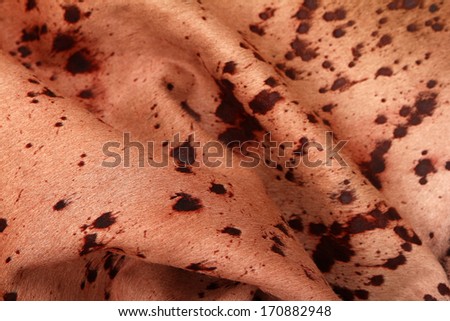 Skin of a cow on a white background