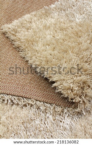 Beautiful soft shaggy carpet of modern design