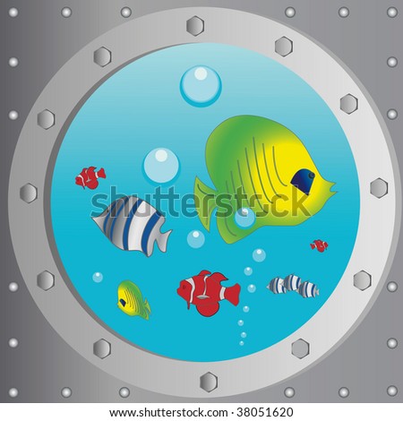 Kind through a window of the sea ship on exotic fishes of the tropikal seas