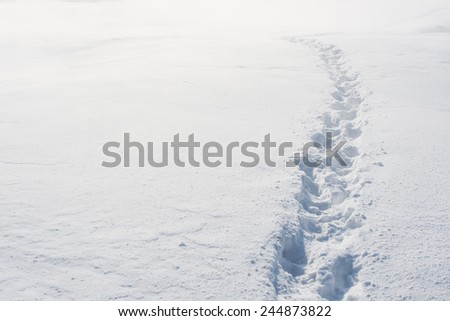 Footsteps on the snow.
