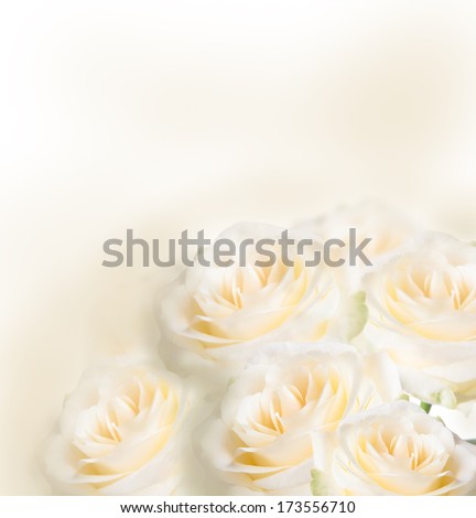 Romantic roses bouquet with free space for text, isolated on white background