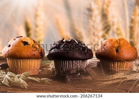 fresh muffins with nature background. Corn field