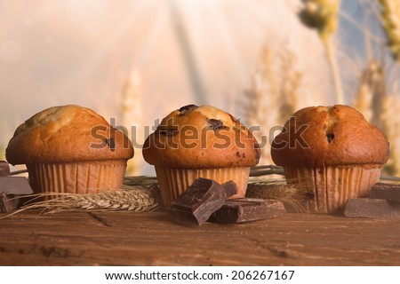 fresh muffins with nature background. Corn field