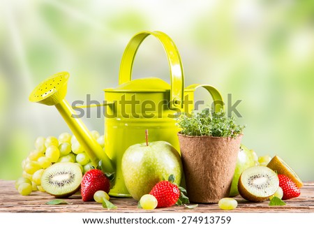 Garden concept, fresh fruits and vegetables on wooden table, watering can, seeds, plants