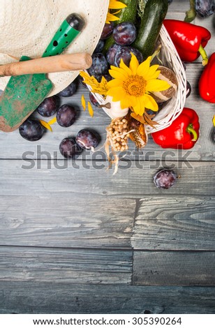 Autumn season food, garden autumn concept on wooden table with nature background