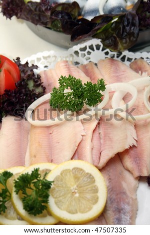 fish platter on a cold buffet