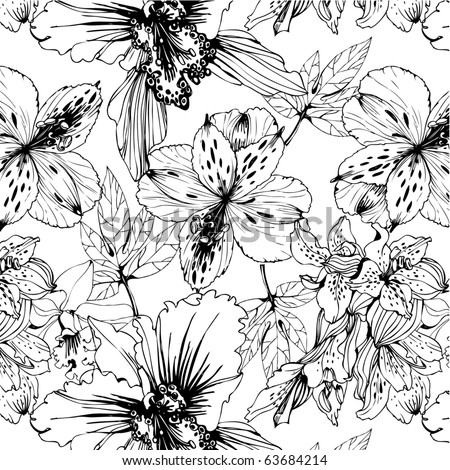 black and white orchid drawing. lack and white orchids