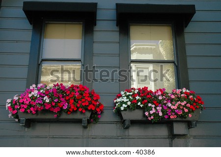 Windows and flower boxes