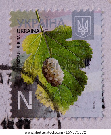 UKRAINE - CIRCA 2013:A stamp printed in Ukraine shows Definitives, trees & fruits,circa 2013