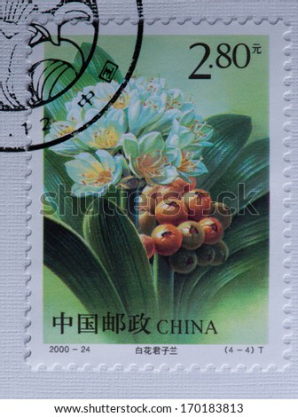 CHINA - CIRCA 2000:A stamp printed in China shows image of China 2000-24 Clivia Stamps - Flower,circa 2000