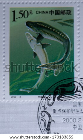 CHINA - CIRCA 2000:A stamp printed in China shows image of Wildlife Animal bird tiger fish monkey panda,circa 2000