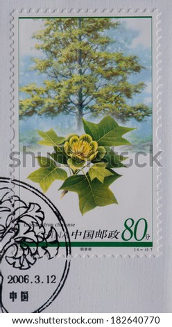 CHINA - CIRCA 2006:A stamp printed in China shows image of China 2006-5 Plant of Relic Species Stamps - Tree,circa 2006