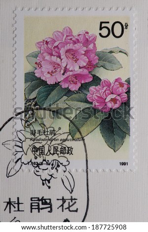 CHINA - CIRCA 1991:A stamp printed in China shows image of PR China 1991 Rhododendrons of China (T162),circa 1991