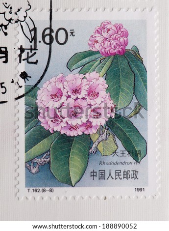 CHINA - CIRCA 1991:A stamp printed in China shows image of China 1991 Rhododendrons of China stamp,circa 1991