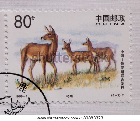 CHINA - CIRCA 1999:A stamp printed in China shows image of CHINA 1999- 5 Joint RUSSIA Rad Deer Stamp Animal,circa 1999