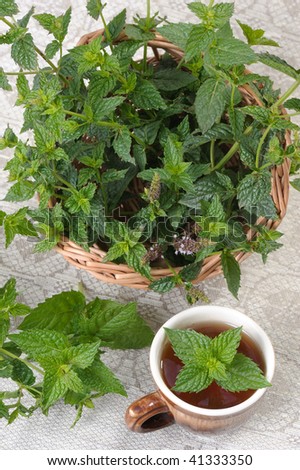 A bunch of mint in a basket and a cup of tea with a sprig of mint.