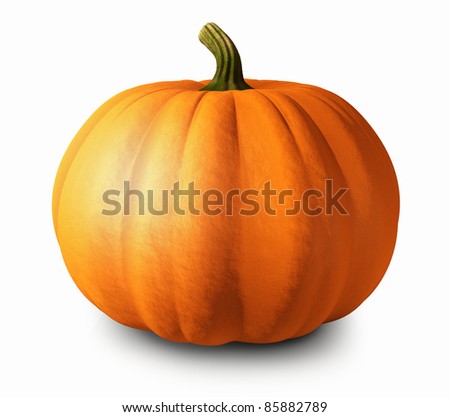 Pumpkin On White Background, 3d Illustration - 85882789 : Shutterstock