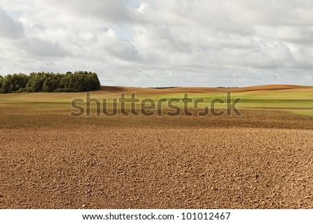 Country landscape with cultivated hill.
