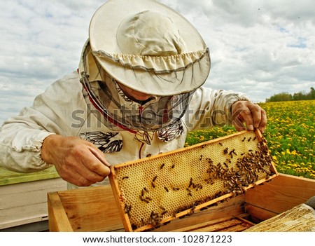 Working apiarist in a spring season.