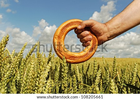 Sweet bread in man hand and growing wheat on the land.