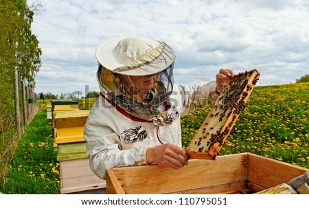 Apiarist is working in his apiary.