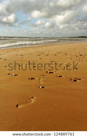 Track on the gold sand at the sea.