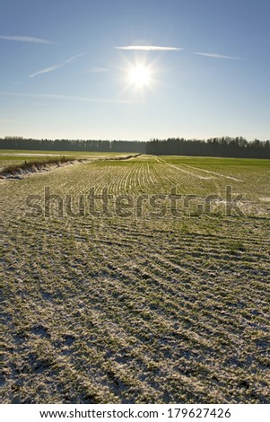 Agriculture business, country landscape in a spring.