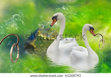 Two swans and gold rings on a hooks.