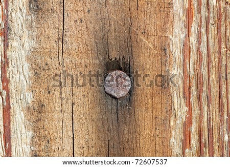 Nail in wood surface, horizontal photo.