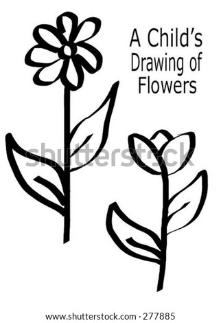 Daisies+drawing