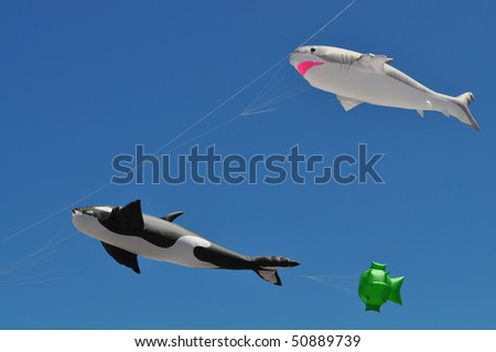 shark and whale kite flying on a blue sky