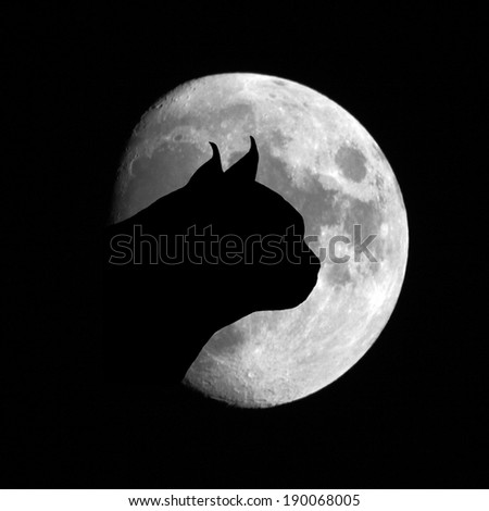 Cat silhouette on the moon background