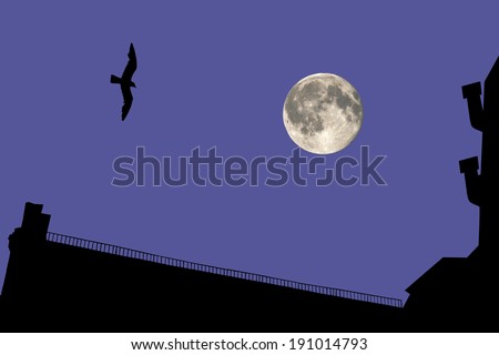 Night house silhouette with bird and moon