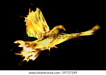 Flame Bird